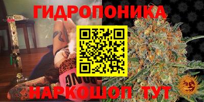 каннабис Берёзовский
