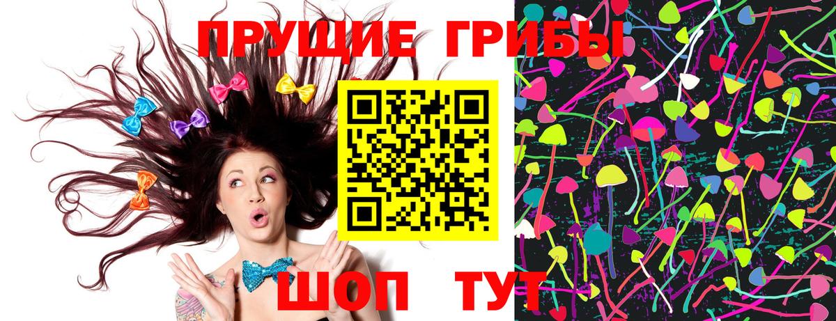 Кисловодск  Галлюциногенные грибы Psilocybe  Вход с VPN  Псилоцибиновые грибы мицелий 